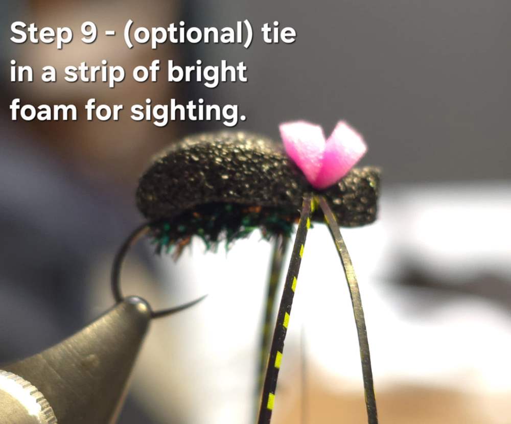 Realistic Beetle Fly Step By Step - semperfli.net