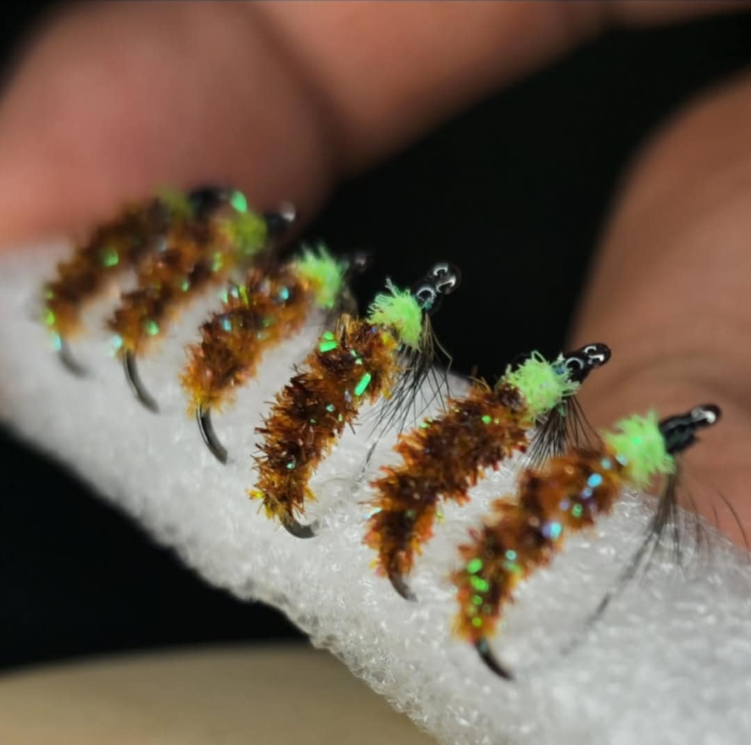 Eli's Cased Caddis