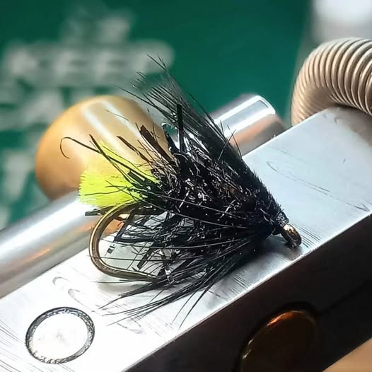 15mm Hackle Chenille Viva Fly - semperfli.net