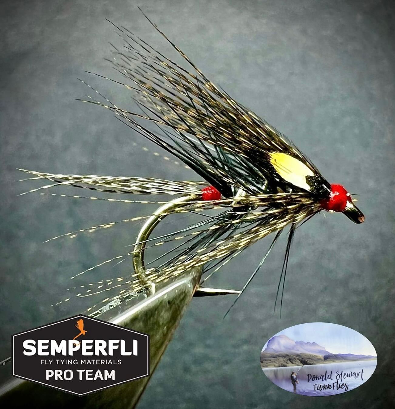 Donald's Silver Dabbler