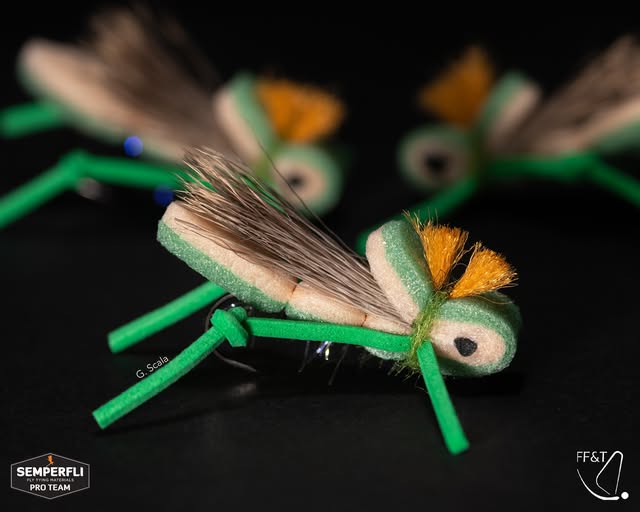 Guido Scala's Grasshopper