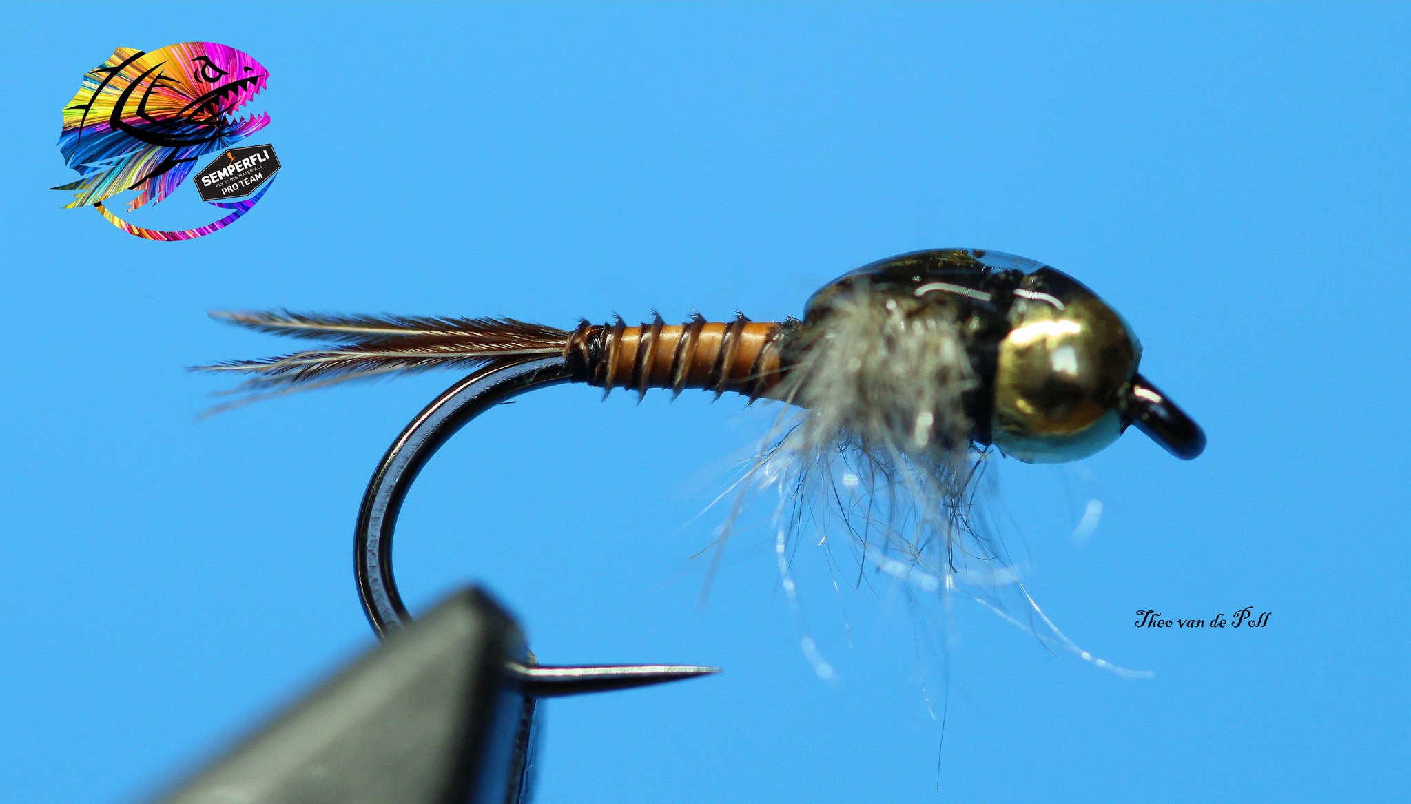 The Universal Nymph