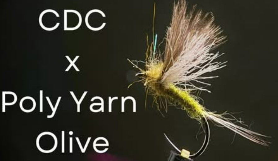 CDC & Poly Wing Olive - semperfli.net