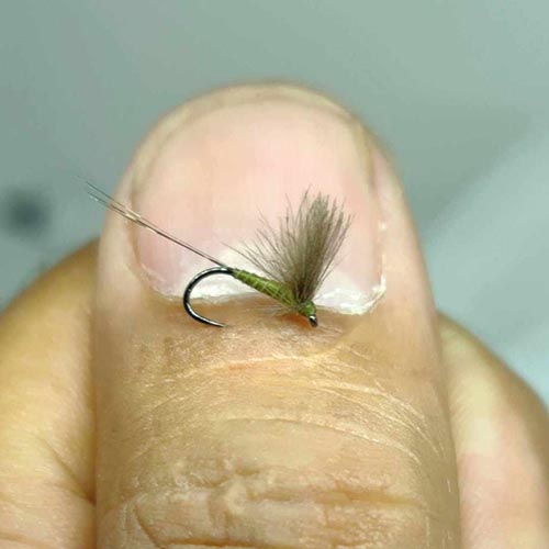 Simple CWT Dry Fly - semperfli.net