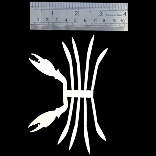 ABC Crab Legs & Claws Skeletons - semperfli.net